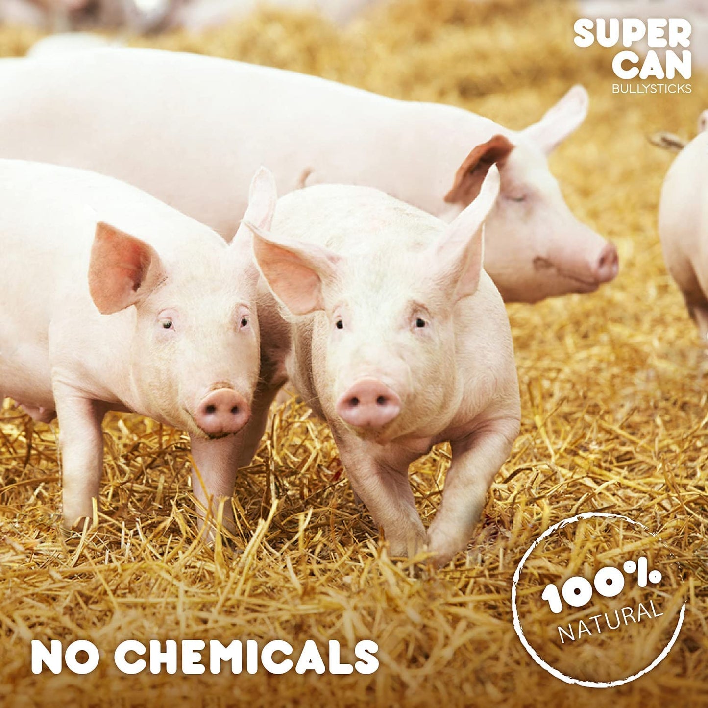 Pork Lung Fillets- 12 oz