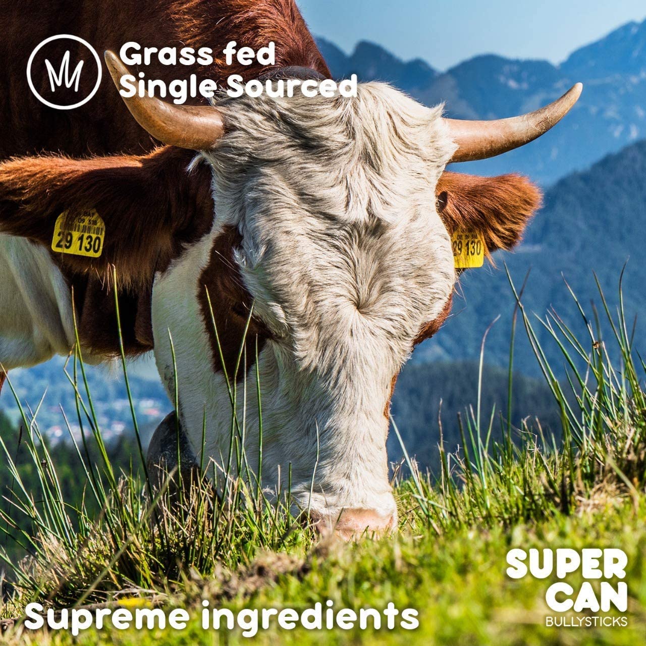 Junior Beef Tendons Dog Chews