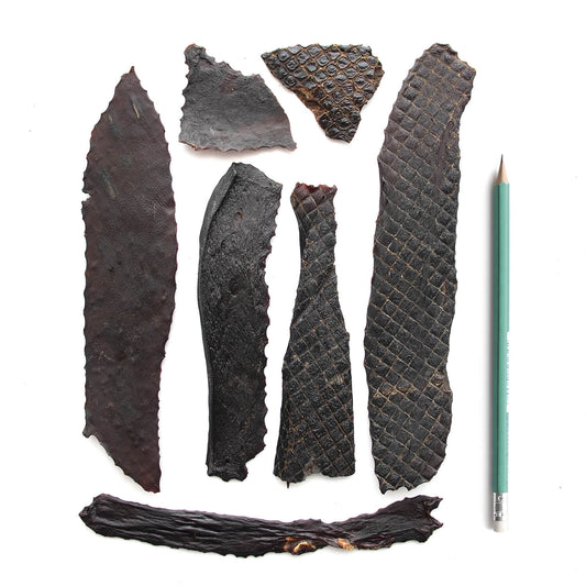 SuperCan Bully Sticks- Porky Liver Fillets 6oz