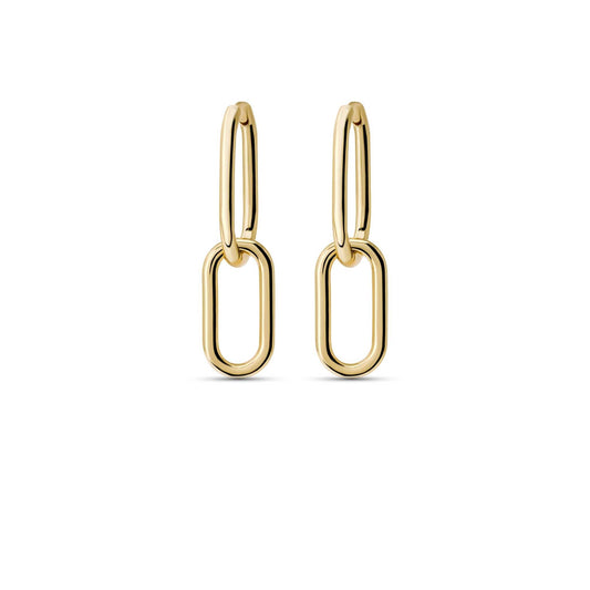 Link Earrings