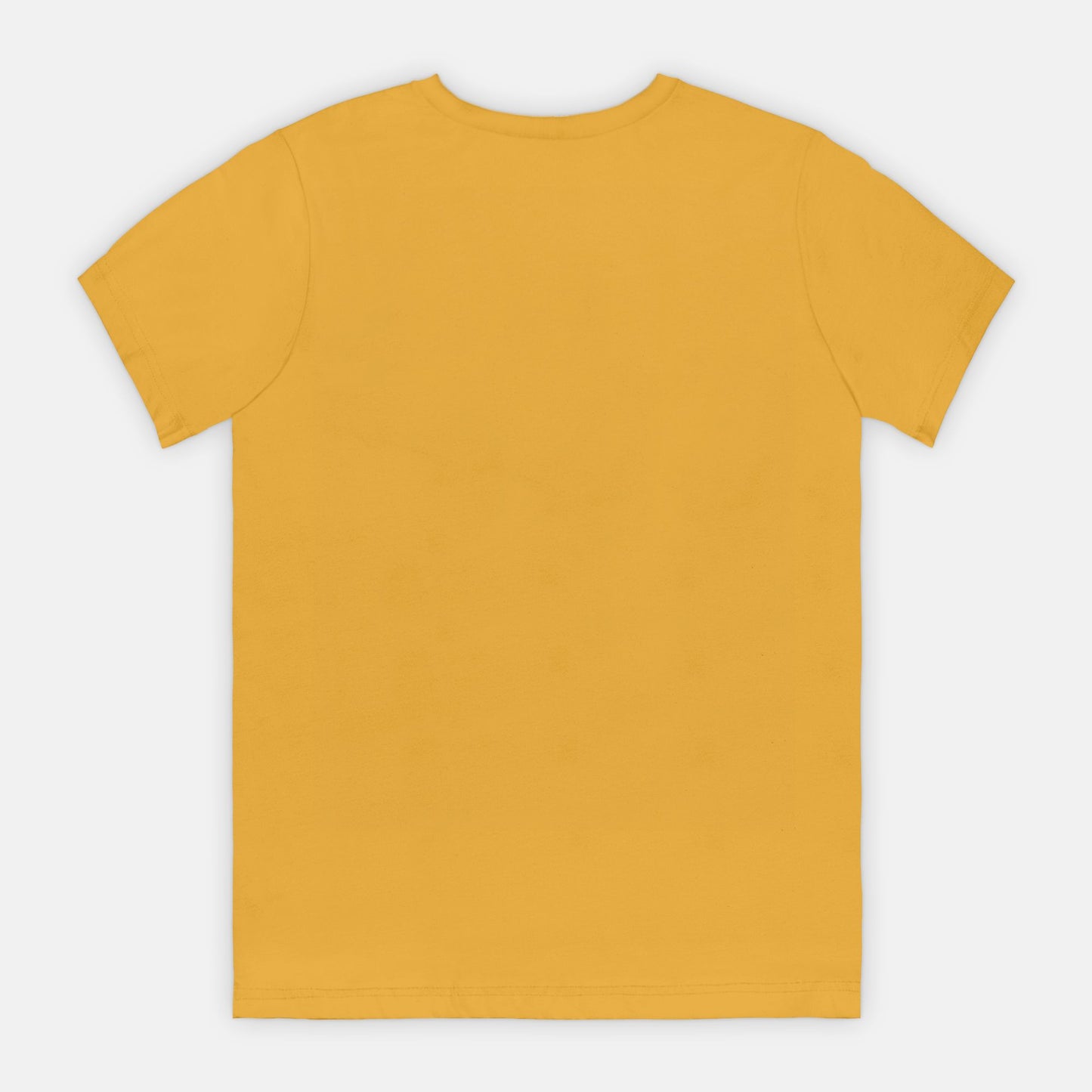 Born To Worship Bella Canvas Unisex Tee