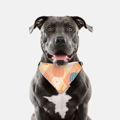Pumpkins and Plaid Collar Pet Bandana (LG & XL)