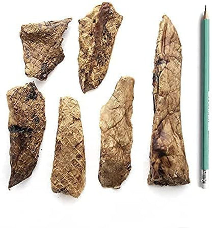 Pork Lung Fillets- 12 oz