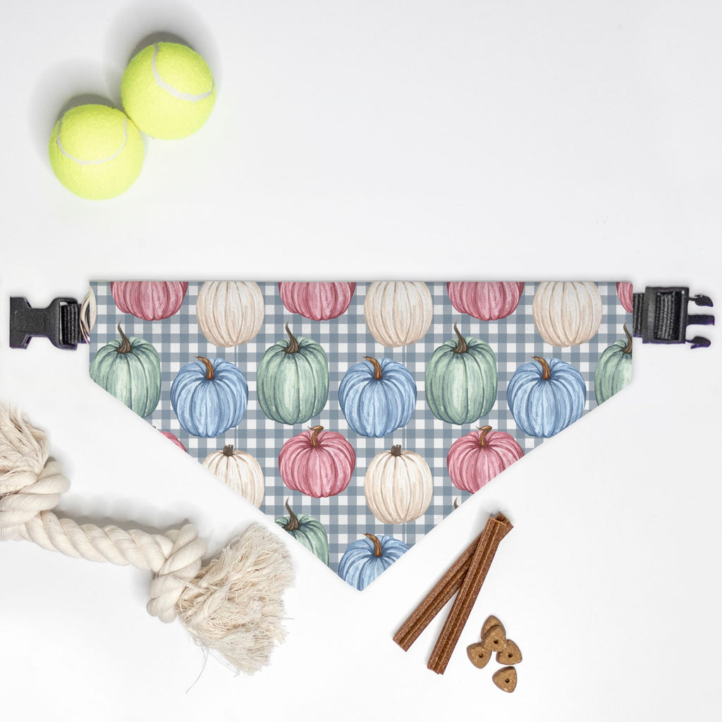 Pumpkin and Checkers Collar Pet Bandana (LG & XL)