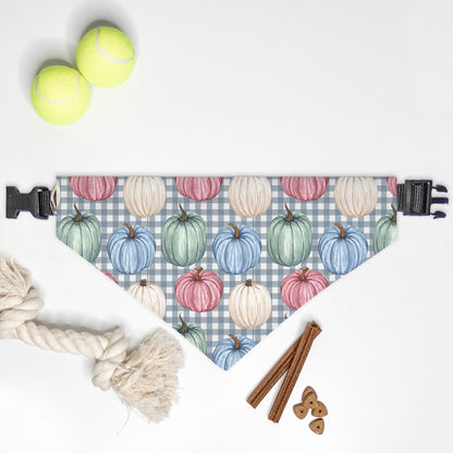 Pumpkin and Checkers Collar Pet Bandana (LG & XL)