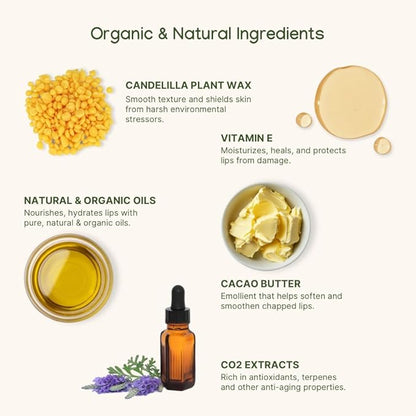 ILIKA 2 PK Organic Lip Balm-100% Plant-based, Ginger Lemon & Almond Cardamom Rose