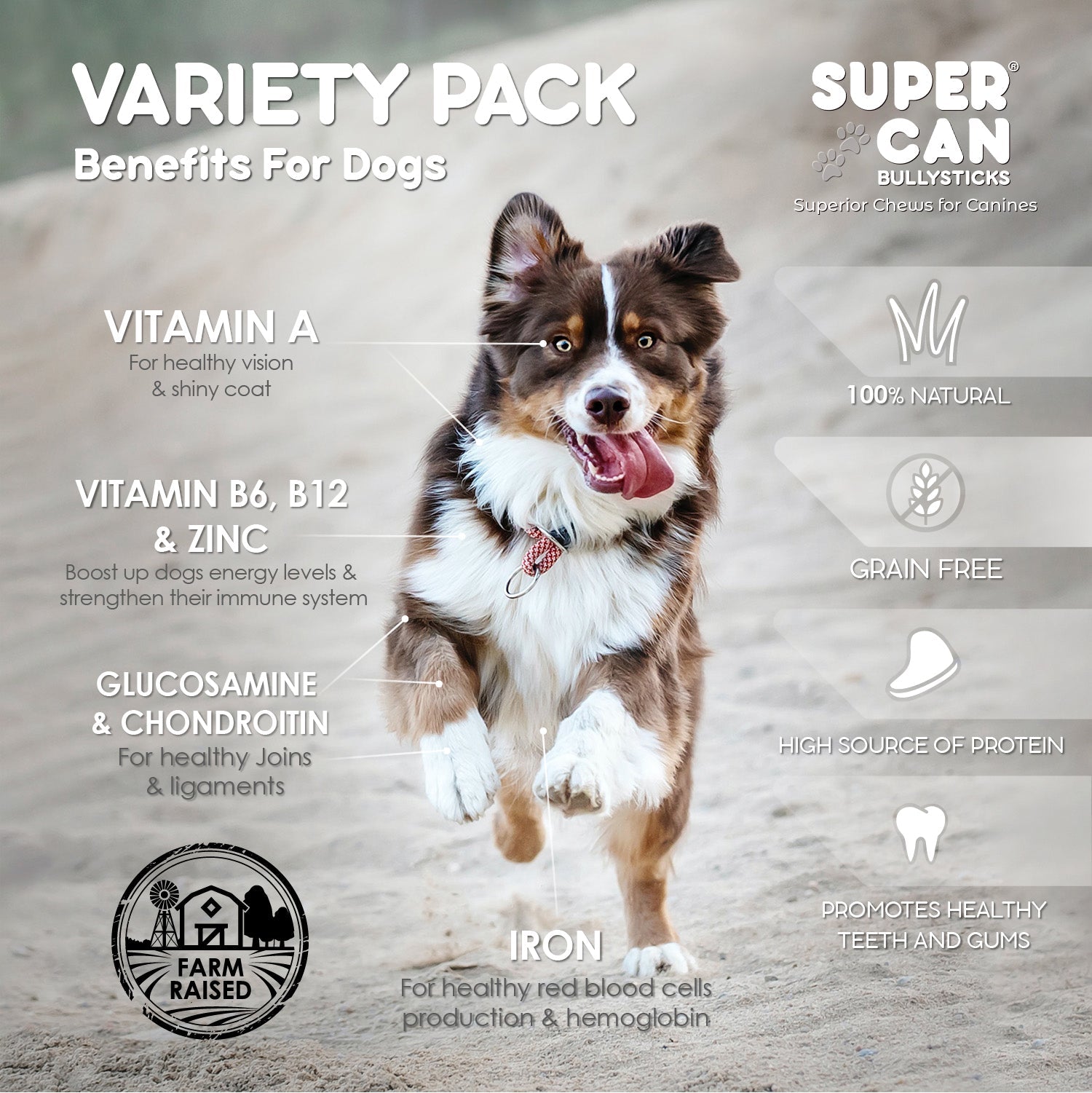 Pork and Beef Mega Mix Dog Chews- Variety Pack-2 lb Bag