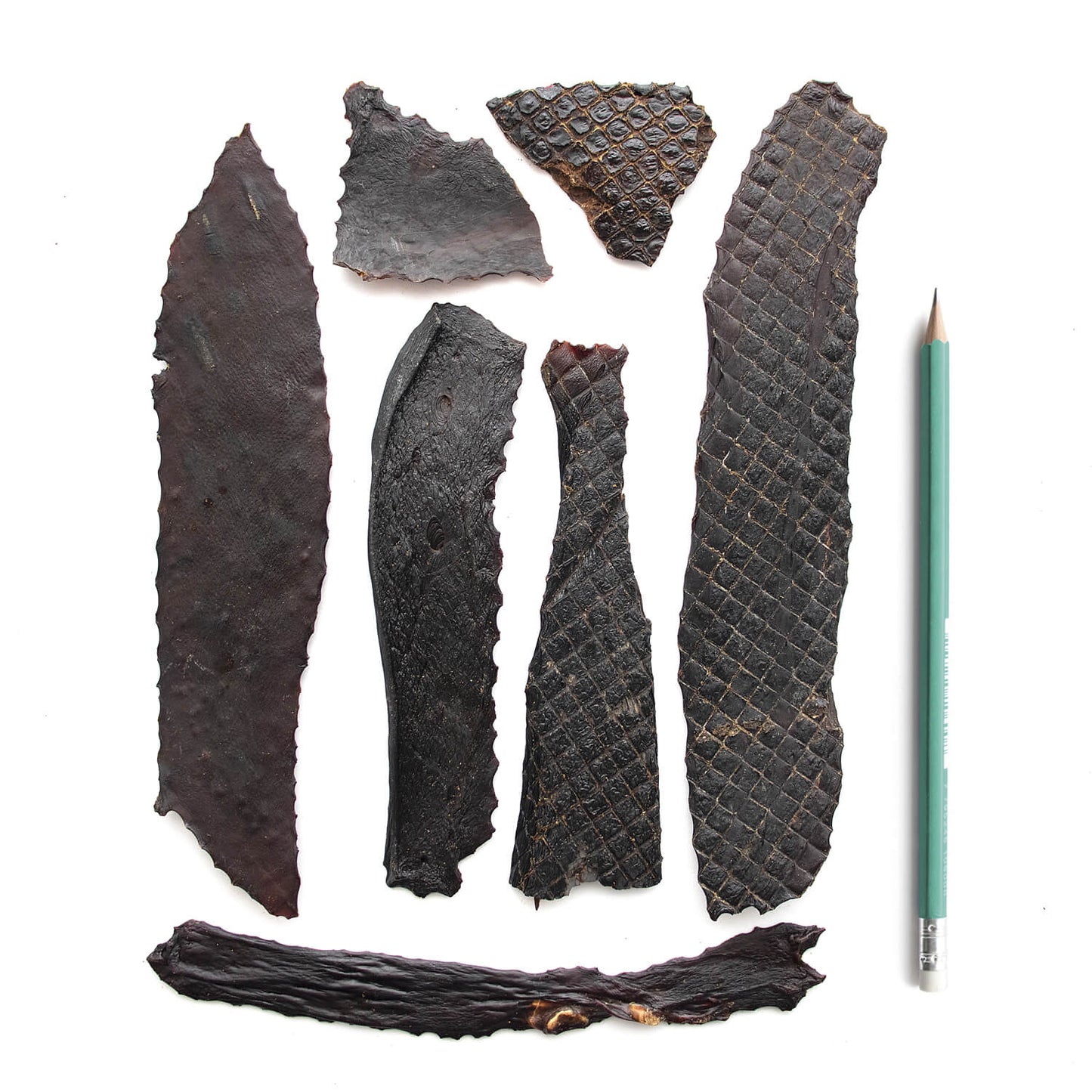 SuperCan Bully Sticks- Porky Liver Fillets 6oz