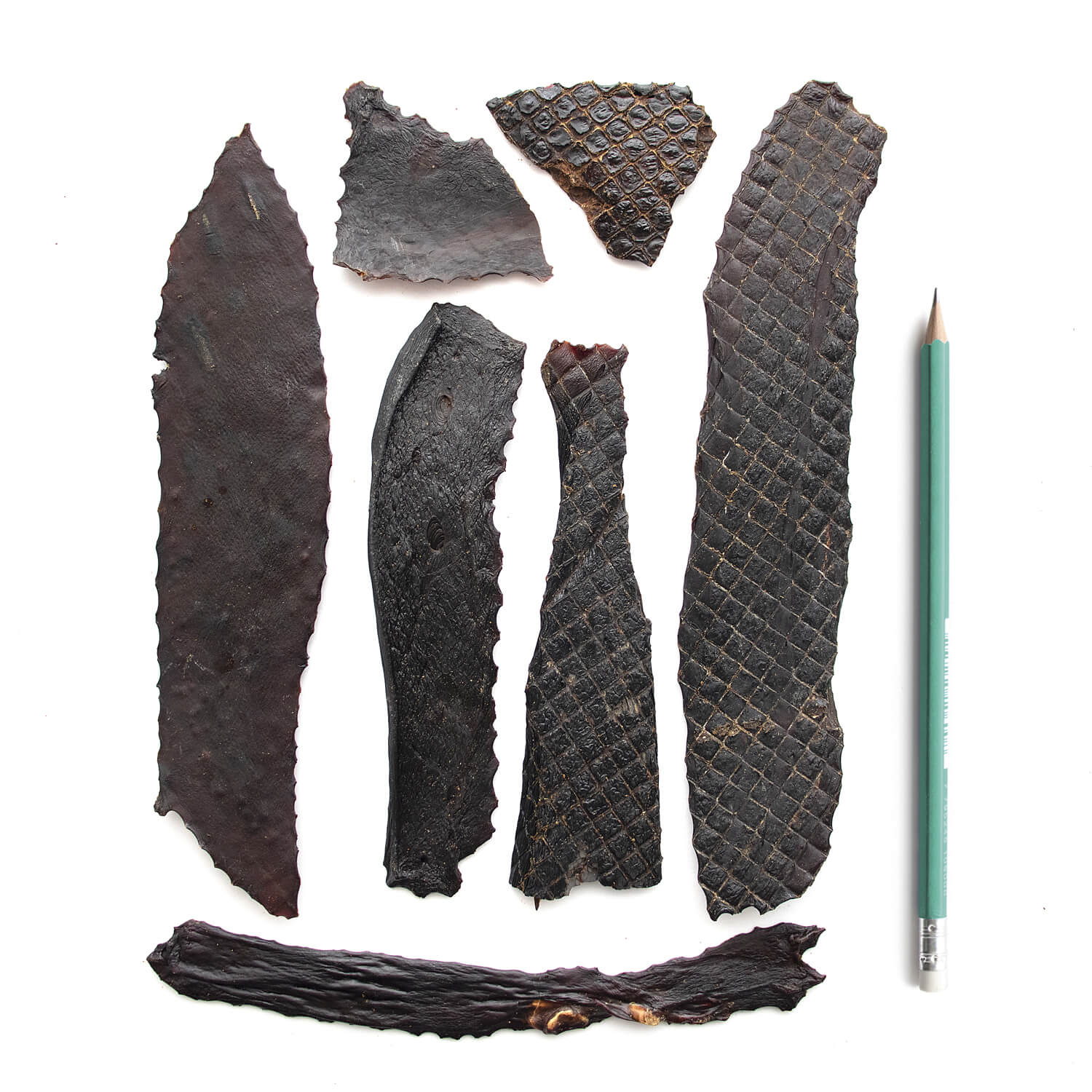 SuperCan Bully Sticks- Porky Liver Fillets 6oz