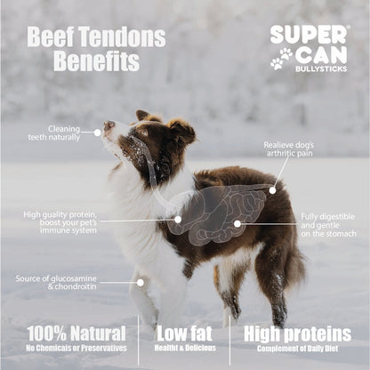 Junior Beef Tendons Dog Chews