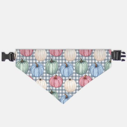 Pumpkin and Checkers Collar Pet Bandana (LG & XL)