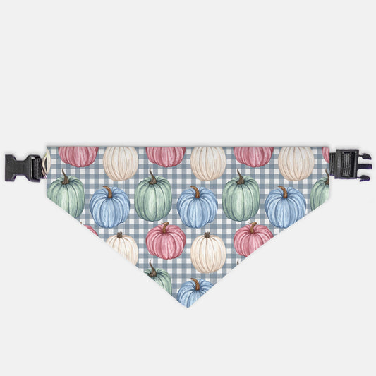 Pumpkin and Checkers Collar Pet Bandana (LG & XL)