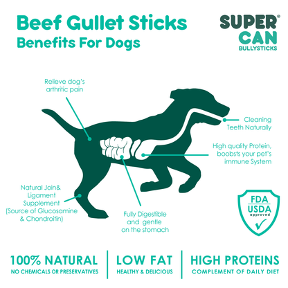 6" Beef Gullet Sticks 8oz (25-Pack)