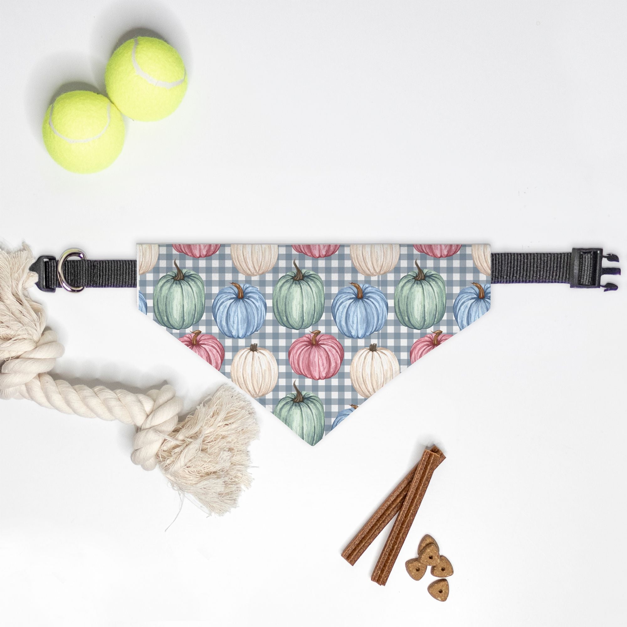 Pumpkin and Checkers Collar Pet Bandana (Sm & Med)