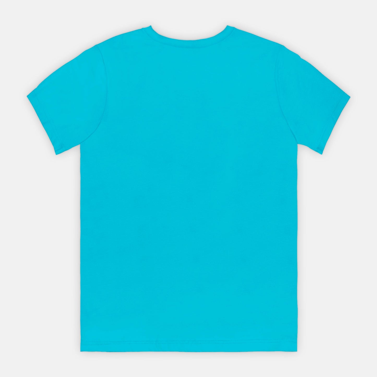 Born To Worship Bella Canvas Unisex Tee