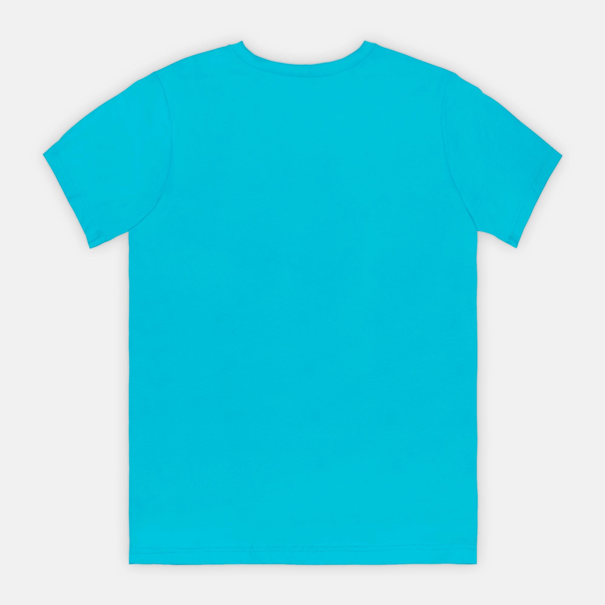 Born To Worship Bella Canvas Unisex Tee