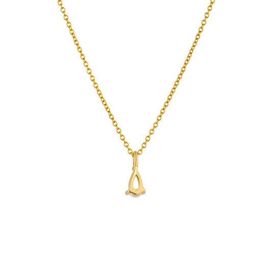 Delight Teardrop Necklace