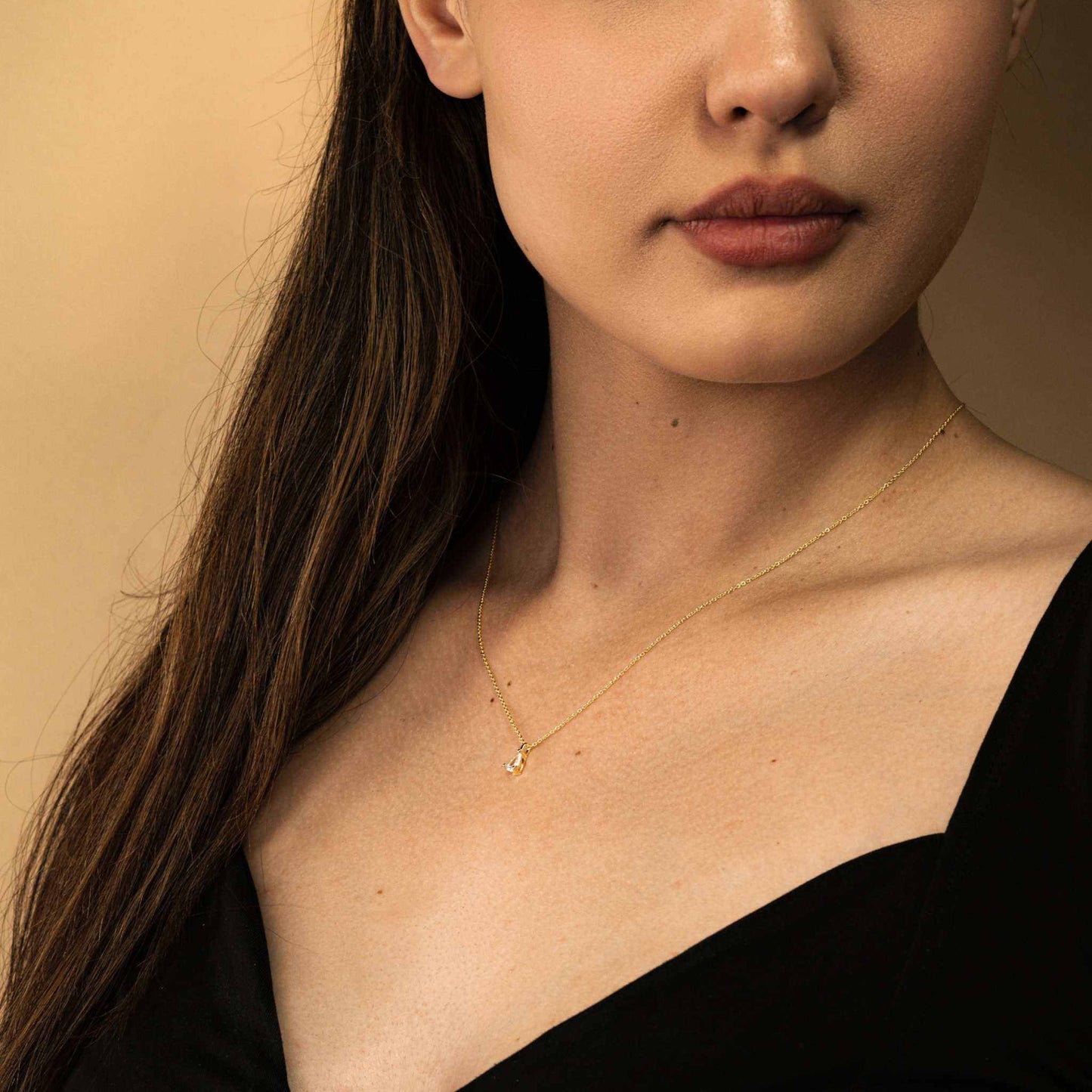 Delight Teardrop Necklace